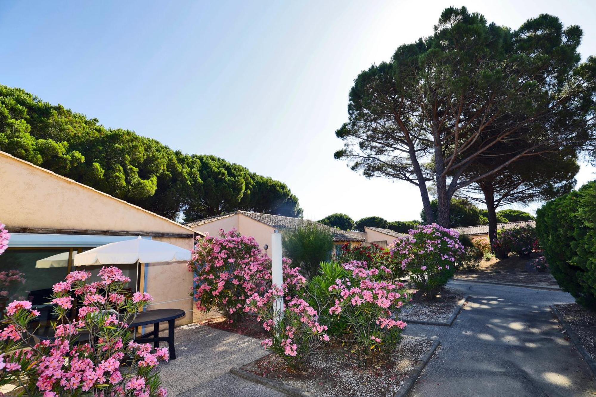 Village Vacances De Ramatuelle - Le Sentier Des Pins Luaran gambar