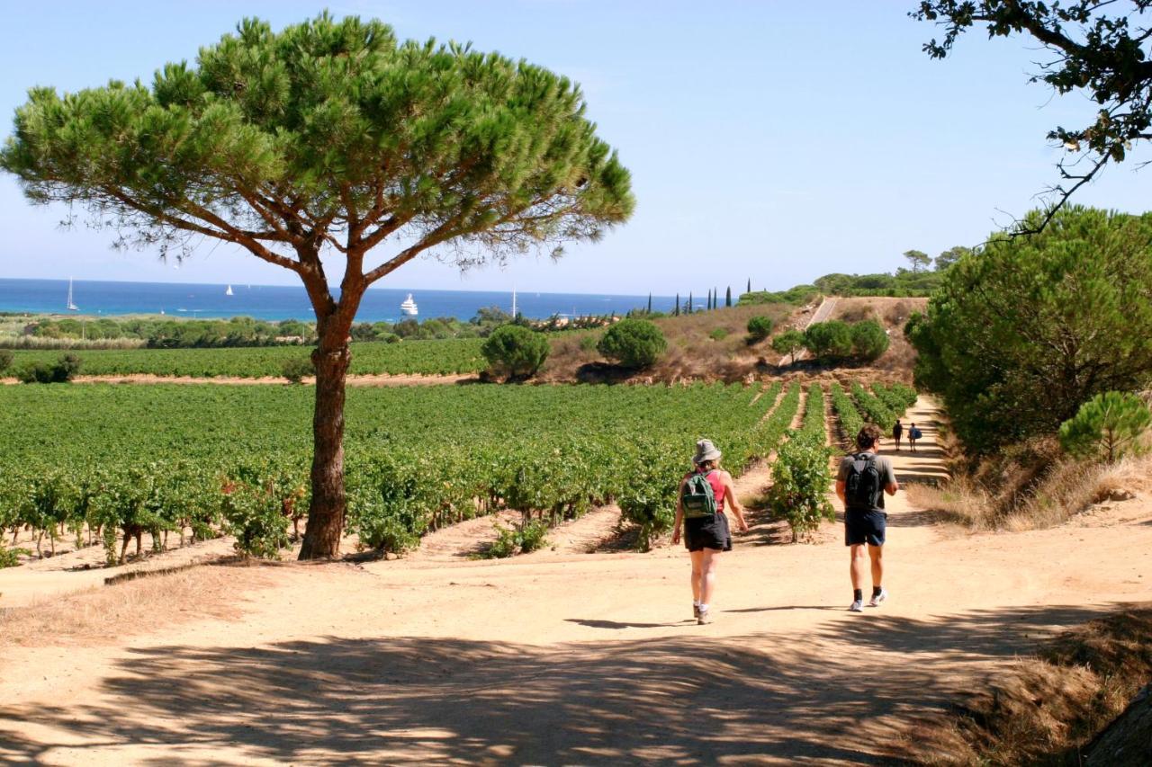 Village Vacances De Ramatuelle - Le Sentier Des Pins Luaran gambar