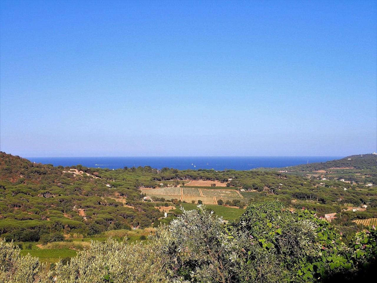 Village Vacances De Ramatuelle - Le Sentier Des Pins Luaran gambar